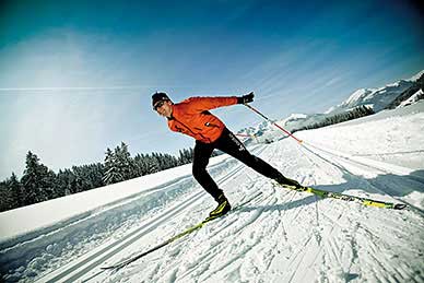 Cross-country skiing - classing and skating - > 150 km of trails